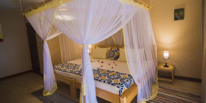 Cycad Guest House