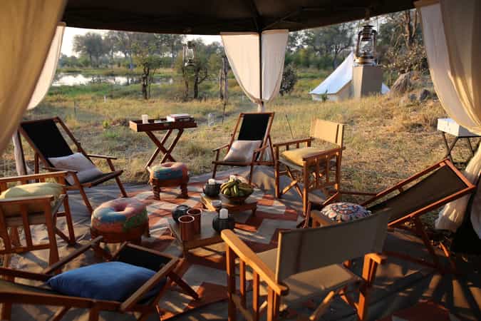 Feline Fields Vintage Camp