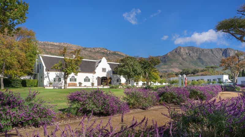Steenberg Hotel