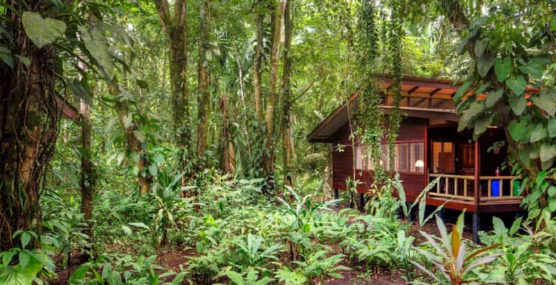 Evergreen Lodge