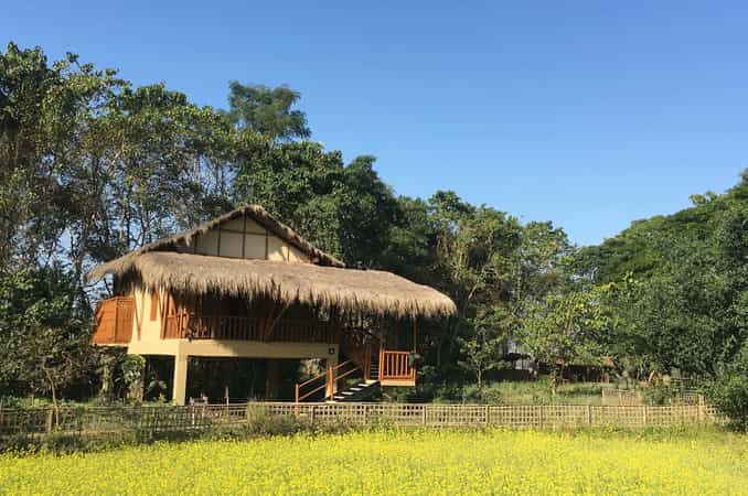 Diphlu River Lodge