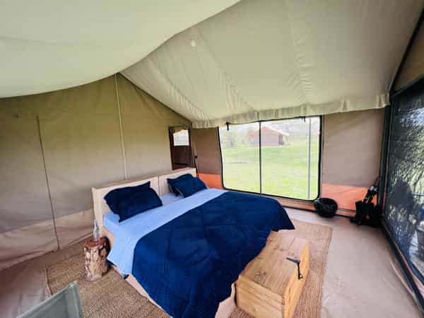 Pamoja Migration Camp