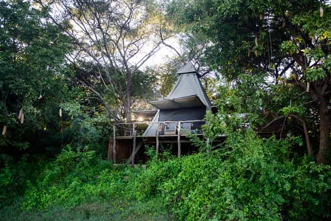 Shawa Luangwa Camp