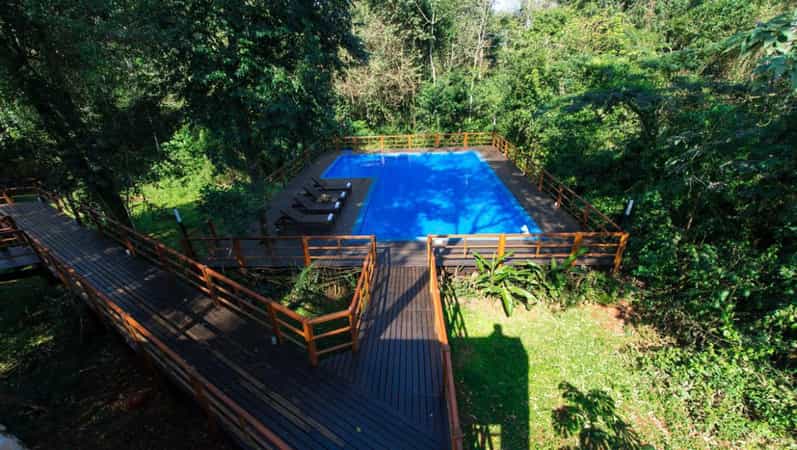 Selva de Laurel