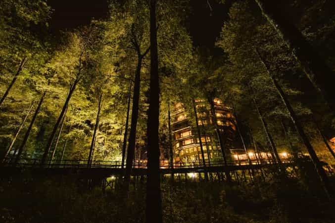 Hotel Nothofagus - Huilo Huilo