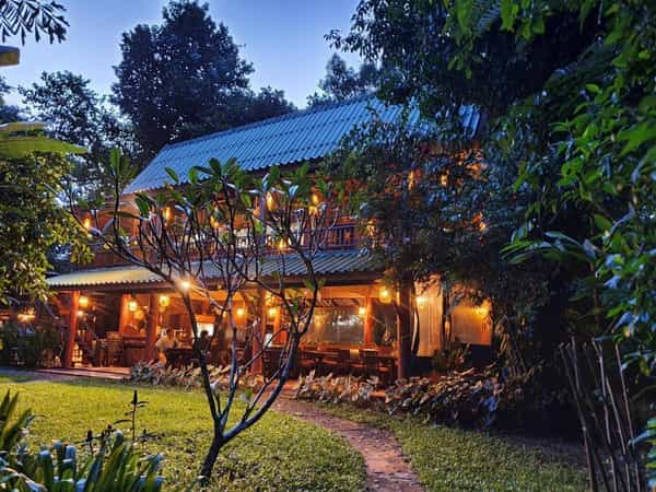 Our Jungle House
