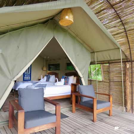 Jumbo Junction Camp