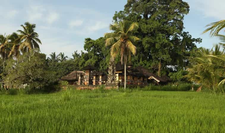 Alila Ubud