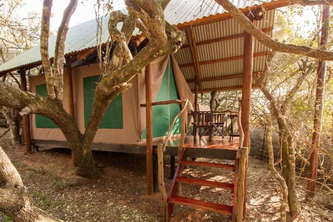 Schotia Tented Camp