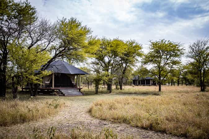 Serian's Serengeti Lamai