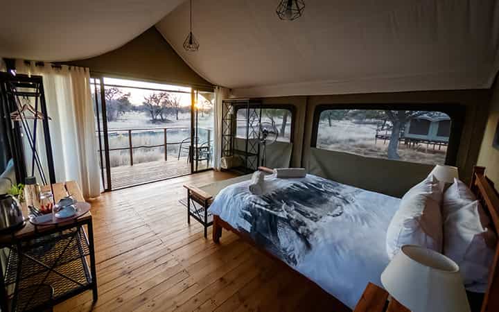 Working with Wildlife Conservation Camp