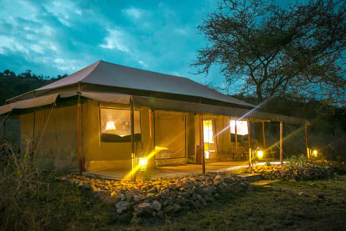 Pure Migration Camp by Sense of Wilderness