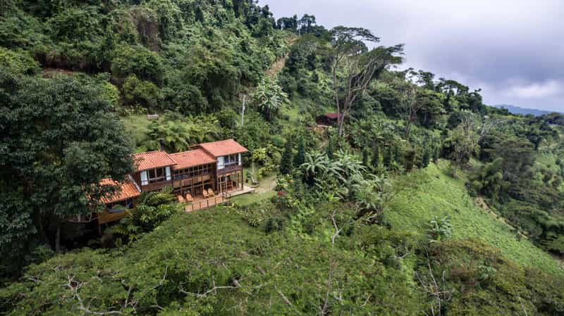 Casa Oropendola