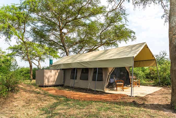 Honey Bear Bush Camp
