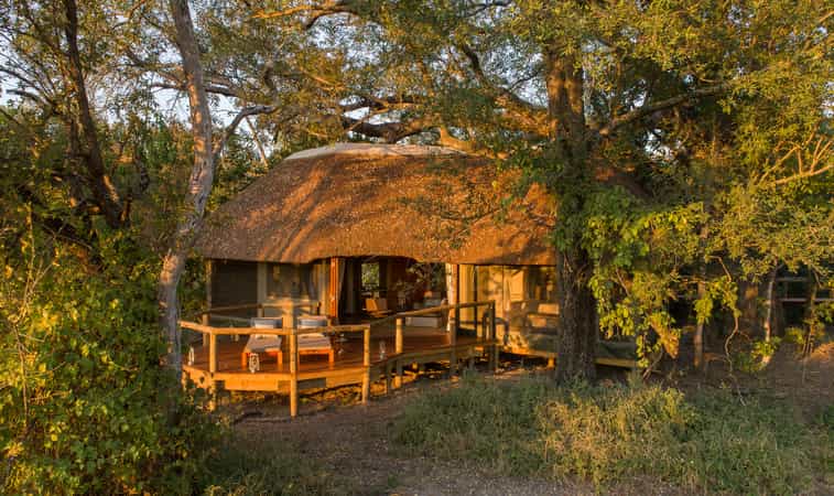 Camp Moremi