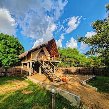 Thamaravila Wilpattu - Luxury Tented Safari Chalets