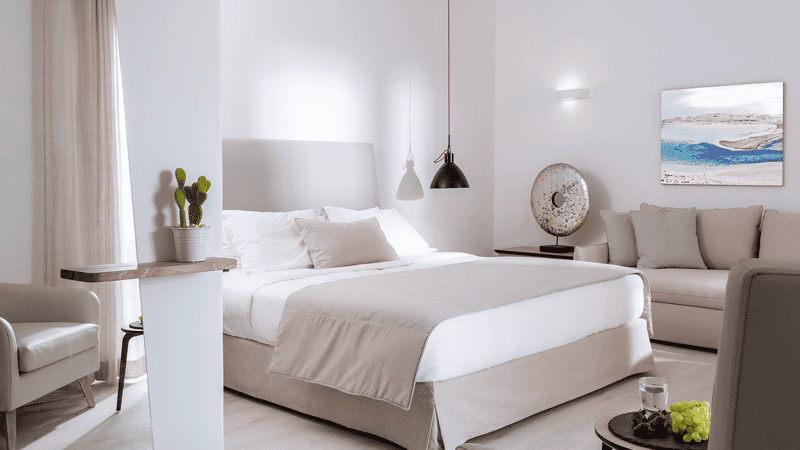Mykonos Princess Hotel