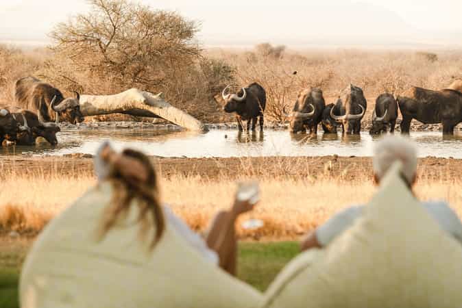 Last Word Madikwe Bush House
