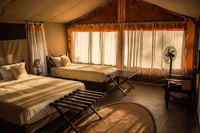 Porini Cheetah Camp