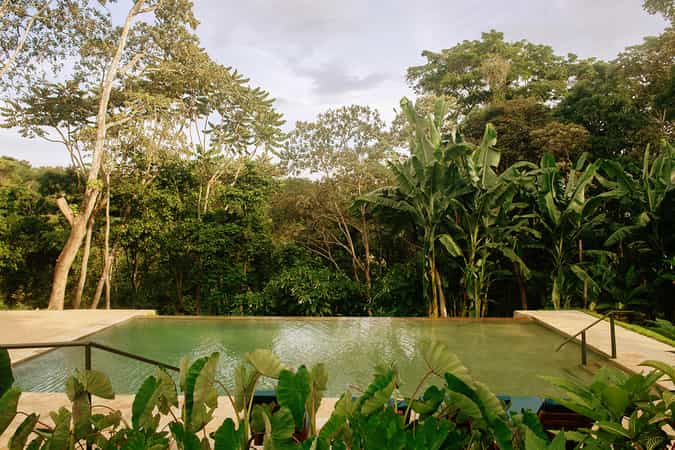 Kilimanjaro Coffee Lodge