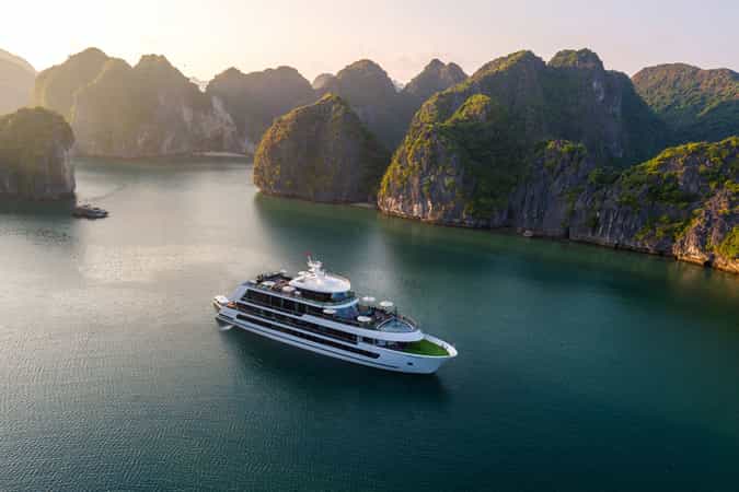 Stellar of the Seas Cruise