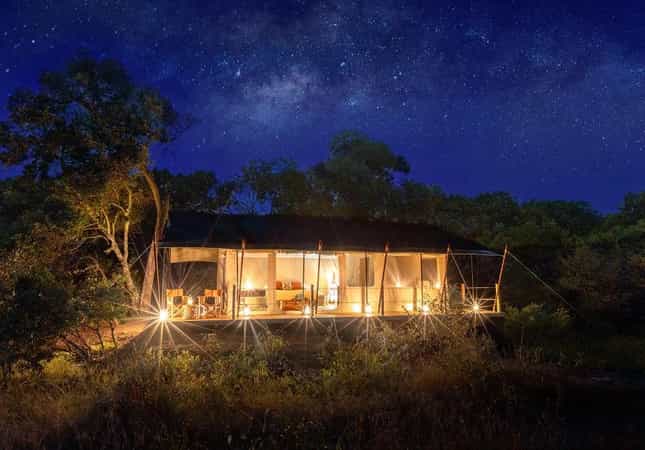 Saruni Wild