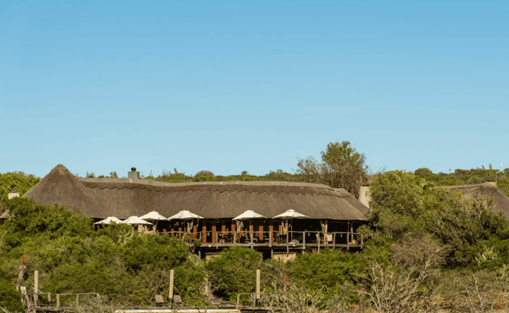 Bush Lodge - Pumba Private Game Reserve