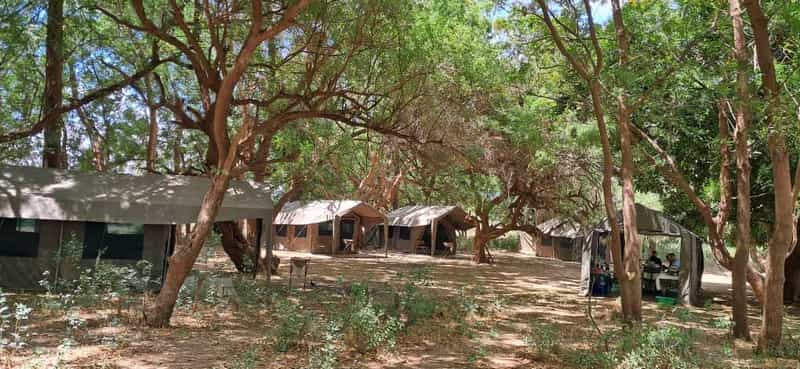 Delta Tented Camp