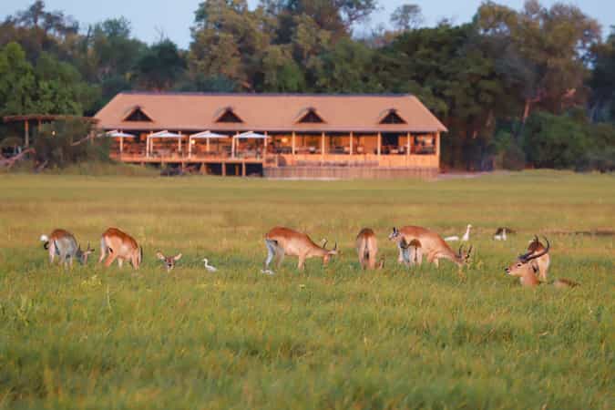 Kanana Camp