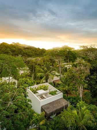 Fasano Trancoso