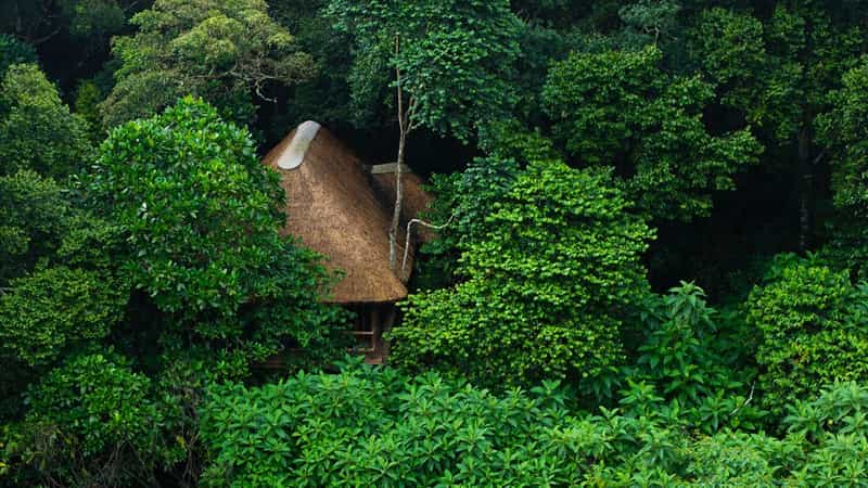 Koroi Forest Camp