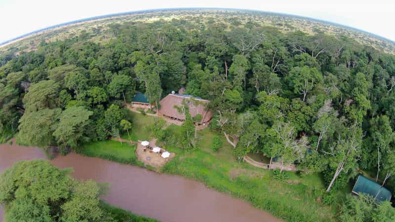 Ishasha Wilderness Camp