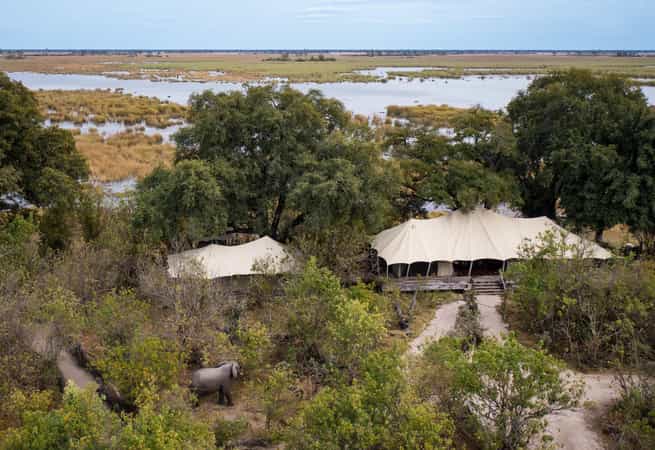 Zarafa Camp