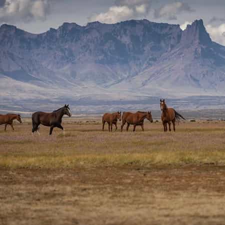 Estancia San Luis