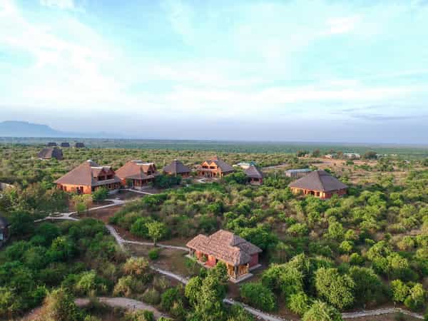 Buffalo Safari Lodge