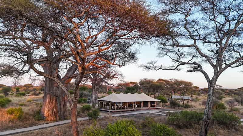 Tarangire Greenland Retreat