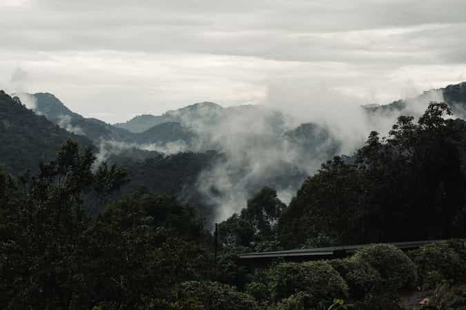 Silverback Lodge