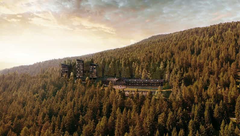 Forestis