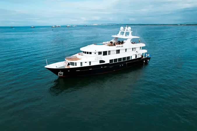 Kontiki Cruise