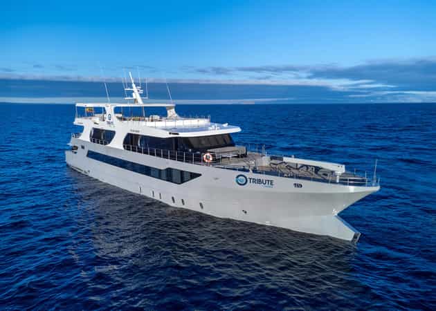 Tribute Galapagos Cruise