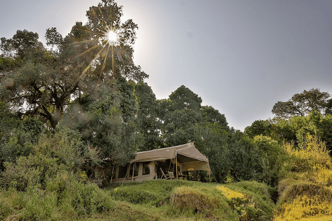 Sentinel Mara Camp