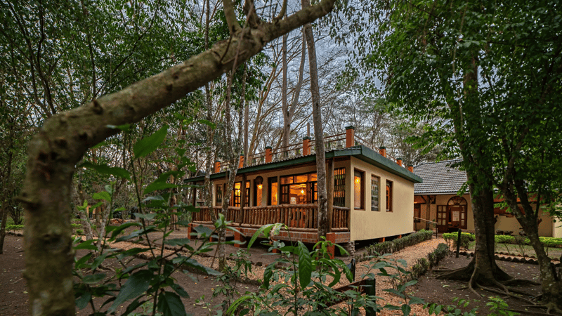 Ishasha Jungle Lodge