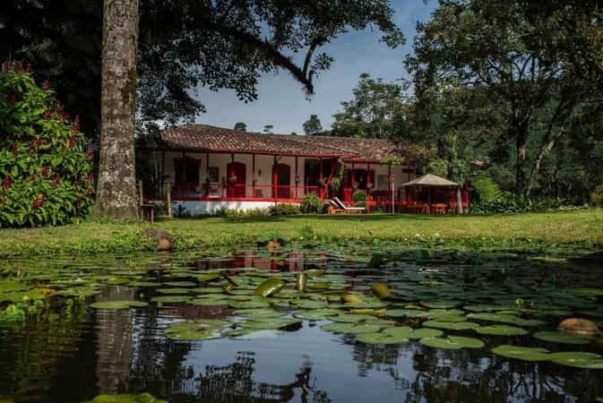 Hacienda Venecia Coffee Farm