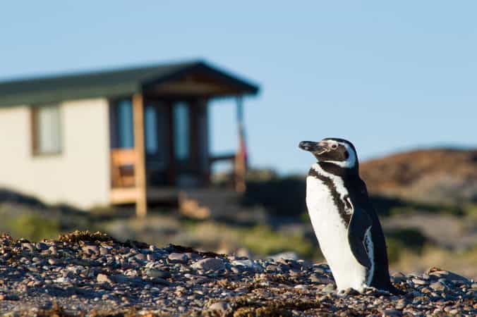 Isla Leones Glamping