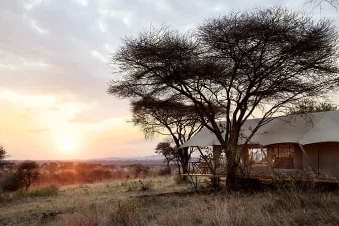 Out Of Africa by Laba Explorer
