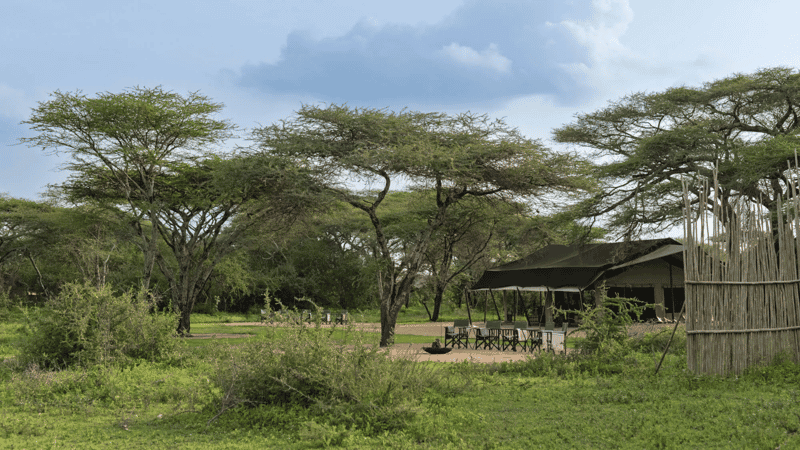 Mwiba Plains Camp