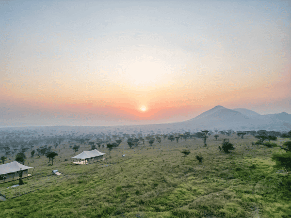 Serengeti Luxury Retreat