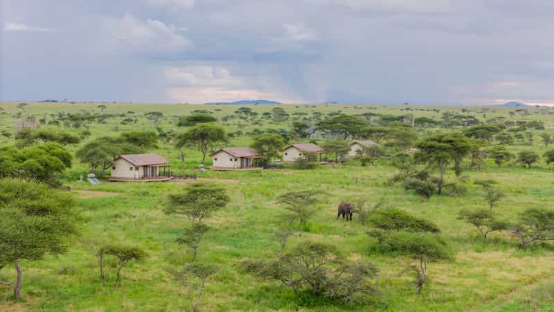 Serengeti Sametu Camp