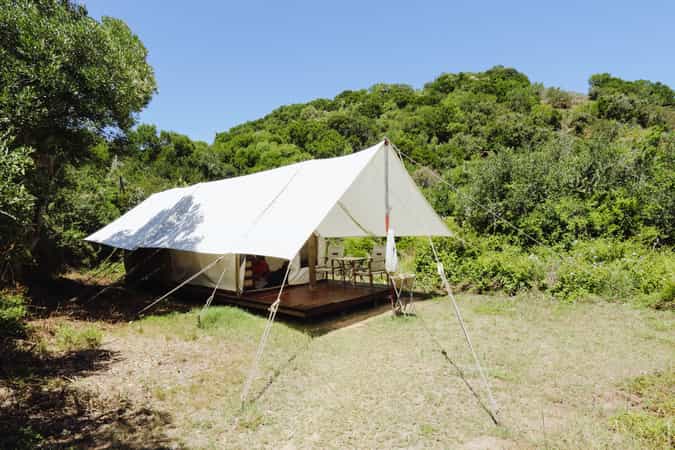 Quatermain's Camp