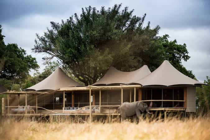 Little Mombo Camp